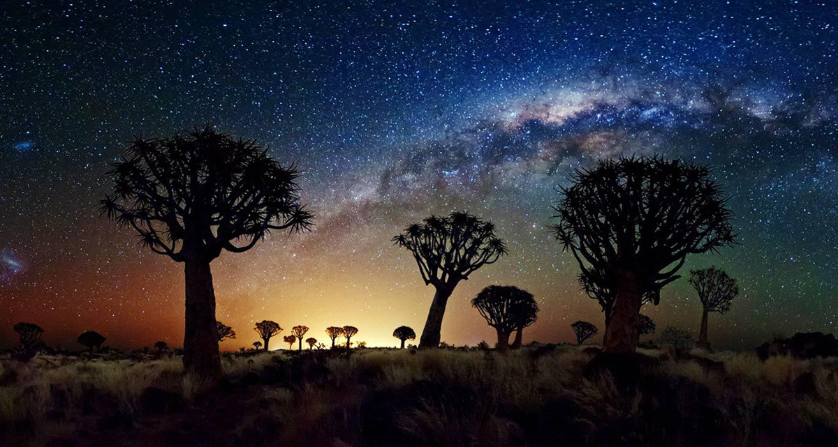 Milky Way from the Quiver Tree Forest, Namibia